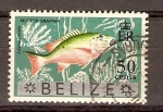 Sellos de America - Belice -  PEZ  BARBERO