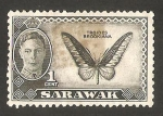Sellos de Asia - Malasia -  sarawak - george VI, mariposa