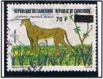 Stamps Cameroon -  Leopardo