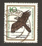 Stamps Germany -  ave de presa europea, buitre