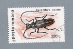 Sellos de Europa - Rumania -  Cerambyx Cerdo