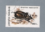 Sellos del Mundo : Europe : Romania : Oryctes Nasicornis