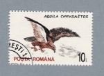 Sellos del Mundo : Europe : Romania : Aquila Chrysaëtos