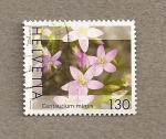 Sellos de Europa - Suiza -  Flor Centaurium minus