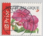 Stamps Belgium -  