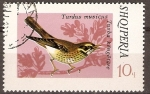 Sellos de Europa - Albania -  TURDUS  MUSÍCUS