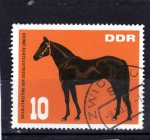 Stamps Germany -  R.D.A.