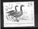 Stamps Germany -  R.D.A.