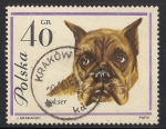 Stamps Poland -  Boxer.