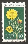 Stamps Germany -  flor adonis vernalis