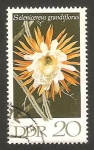 Stamps Germany -  flor selenicereus grandiflorus