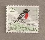 Stamps Australia -  gorrión rojo