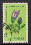 Sellos de Europa - Polonia -  Gentiana clusii