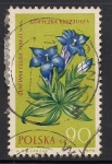 Sellos de Europa - Polonia -  Gentiana clusii