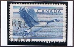 Sellos de America - Canad� -  Pato