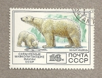 Sellos de Europa - Rusia -  Oso polar