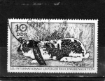 Stamps Germany -  R.D.A.