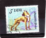 Stamps Germany -  R.D.A.