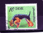 Stamps Germany -  R.D.A.