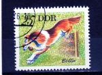 Stamps Germany -  R.D.A.