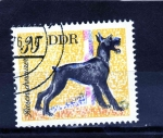 Stamps Germany -  R.D.A.