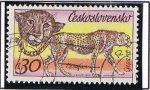 Stamps Czechoslovakia -  Gepardo