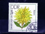 Stamps Germany -  R.D.A.