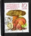 Stamps Germany -  R.D.A.