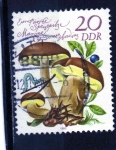 Stamps Germany -  R.D.A.