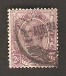 Stamps Africa - South Africa -  unión Sudáfrica - george V 