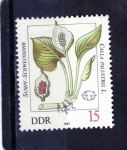 Stamps Germany -  R.D.A.