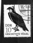 Stamps Germany -  R.D.A.