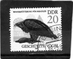 Stamps Germany -  R.D.A.