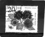 Stamps Germany -  R.D.A.