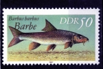 Stamps Germany -  R.D.A.