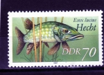 Stamps Germany -  R.D.A.