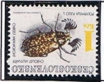 Stamps Czechoslovakia -  Polyphylla Fulio