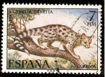 Sellos de Europa - Espa�a -  Fauna. Gineta