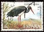 Stamps Spain -  Fauna. Cigüeña negra