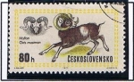 Stamps Czechoslovakia -  Muflon