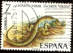 Sellos de Europa - Espa�a -  Fauna. Lagarto verde