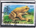 Sellos de Asia - Corea del norte -  Bufo Bufo