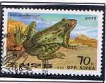 Stamps North Korea -  Rana Nigromaculata