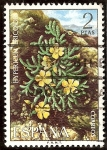 Sellos de Europa - Espa�a -  Flora. Hypericum ericoides