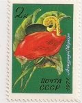 Stamps Russia -  Anthurium scherzerianum