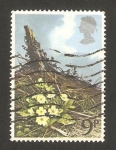 Stamps United Kingdom -  flor primavera