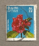 Stamps Sri Lanka -  Ma-Ratmal