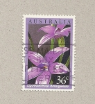 Sellos de Oceania - Australia -  Flor violeta