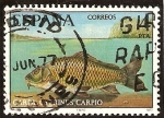 Sellos de Europa - Espa�a -  Fauna - Carpa