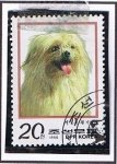 Stamps North Korea -  Canis Familiaris